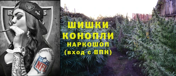 альфа пвп Бородино