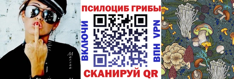 Галлюциногенные грибы мицелий  цены наркотик  Тосно 