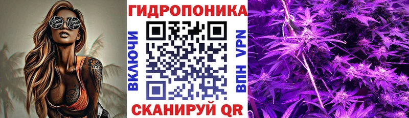 как найти закладки  гидра зеркало  Марихуана OG Kush  Тосно 